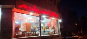 بازرگانی آسانسور پیشرو پلاس