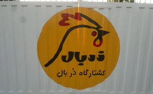 کشتارگاه دُربال ساری