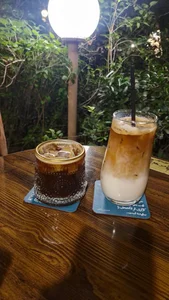 هنرخانه درخت 5