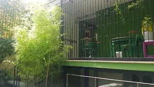 گالری سایه