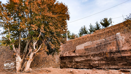 چکچکه