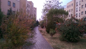 Golshahr