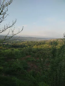 بام شهر