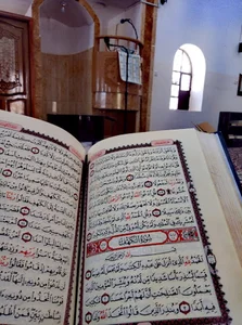 جامع نملة