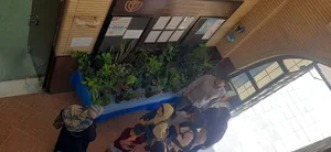 فرهنگسرای پایداری(لاله) 2