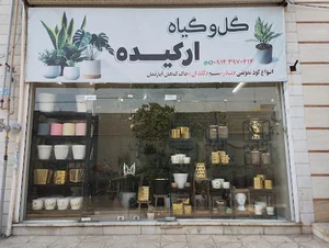 گل و گیاه ارکیده