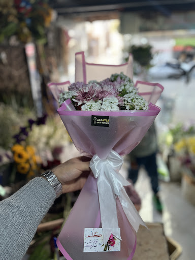 گلسرای الپایلا