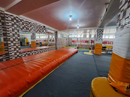 آکادمی ژیمناستیک ستارگان