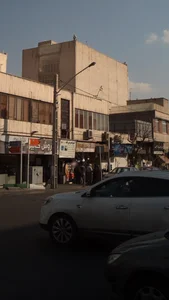 پروتئین صدر 2