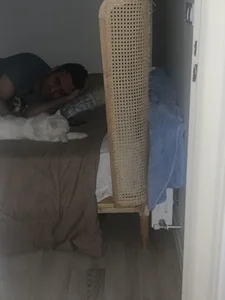 مزون درسا
