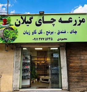 مزرعه چای گیلان