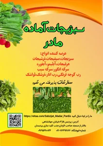 سبزیجات آماده و محصولات طبیعی مادر پردیس 2