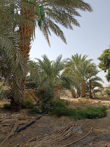 باغ