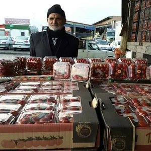 میوه فروشی میرعظیمی