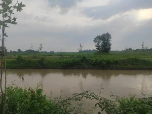 خیابان پرستار