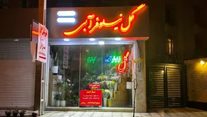 گل نیلوفر آبی 2