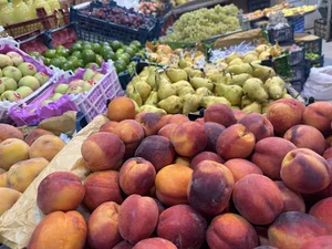 میوه فروشی یوسفی