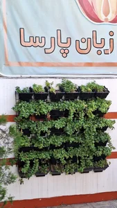 موسسه زبان پارسا 2