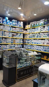 اکواریوم پروانه