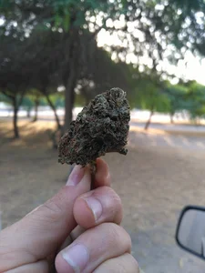 پارک راهدار فداکار