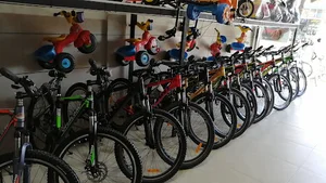 دوچرخه فروشی استاجی سبزوار