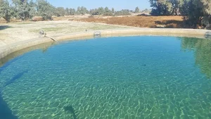 پارک جنگلی بامری