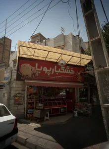 خشکبار پویا 3