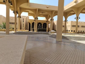 College of Humanities and Social Sciences
