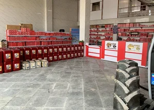 نمایندگی تراکتور سازی ایران کد ۴۱۸چهره آزاد