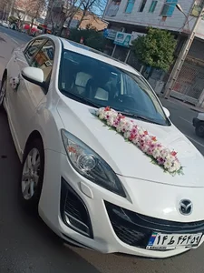 گالری گل و گیاه بهارنارنج
