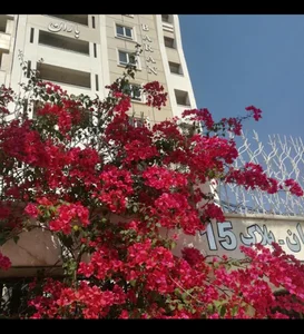 مجتمع باران