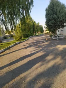 پارک قلم 2