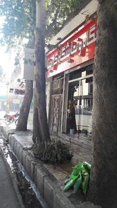 گل مینا
