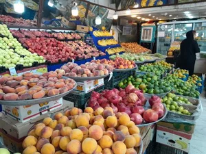 میوه سرای نواب(برادران بلوکی) 3