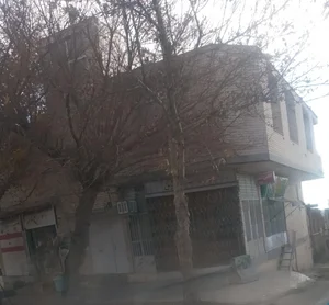 طلافروشی نایس 3