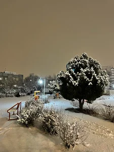 پارک ارغوان