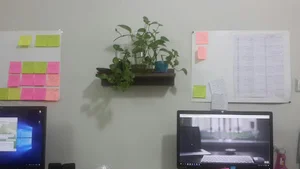 گروه نرم افزاری آلماتک