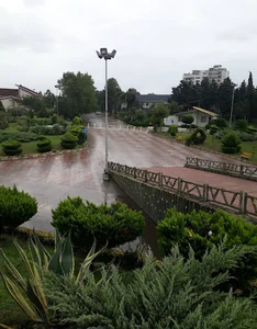 ساحل دارایی