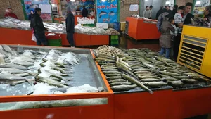 میدان میوه و تره بار بعثت 3