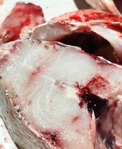 ماهی فروشی نهرین خلیل 2