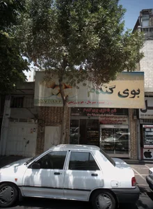 بوی گندم 5