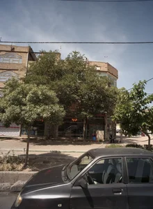 میوه سبزی 2