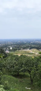 زمین دکتر مهربان پژوه