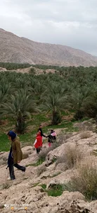 آقام شهید تو باغی