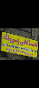 تصادفی پروانه