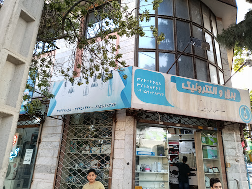 الکتریکی فرزین
