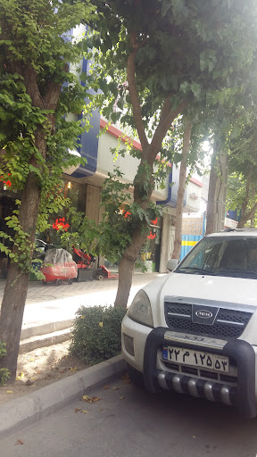 تکنیک بوش