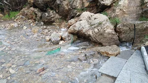 Marzangasht Spring