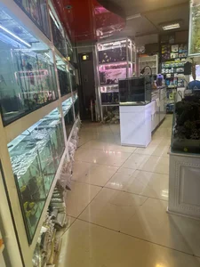 آکواریوم