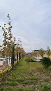 بوستان باغ ایرانی 4